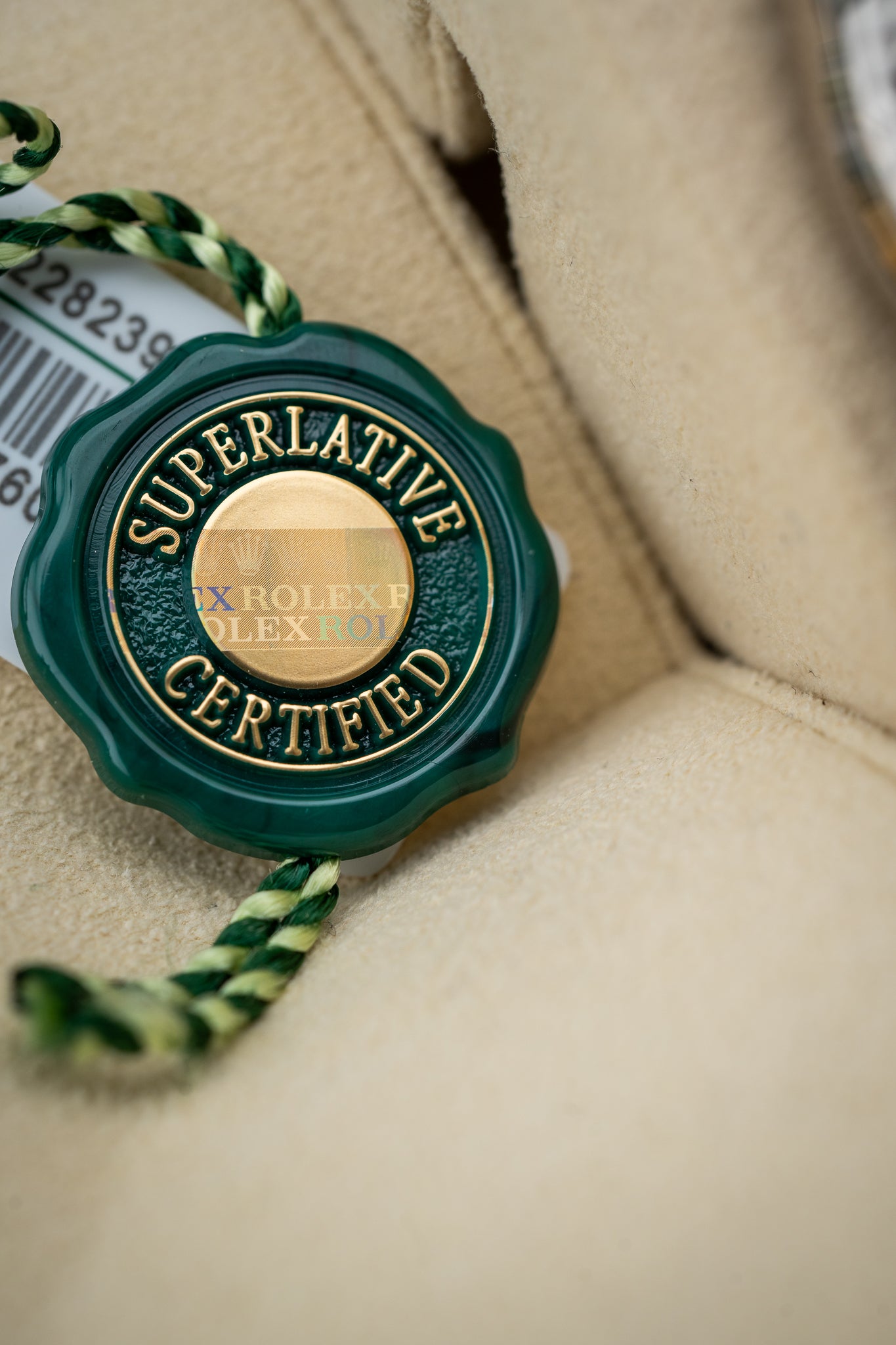 2024 Rolex Day-Date 40 White Gold Blue Ombré Dial 228239