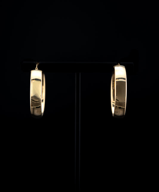 14K Yellow Gold Polished Hoop Earrings (3.6g)
