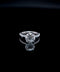 14K White Gold Lab Diamond Engagement Ring – 3.35 CTW – Size 7