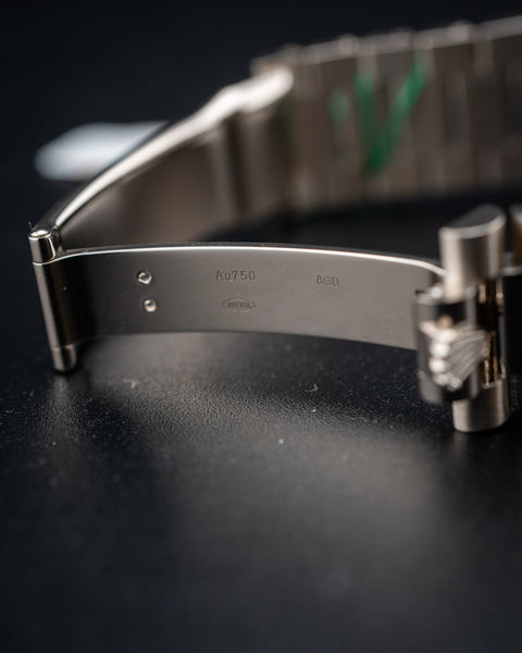 2024 Rolex Day-Date 40 White Gold Blue Ombré Dial 228239